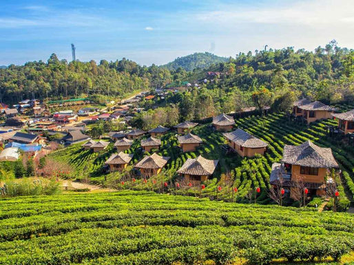 Blick auf das Dorf Ban Rak Thai in Nordthailand mit Teeplantagen in Terrassen und traditionellen Lehmhäusern.