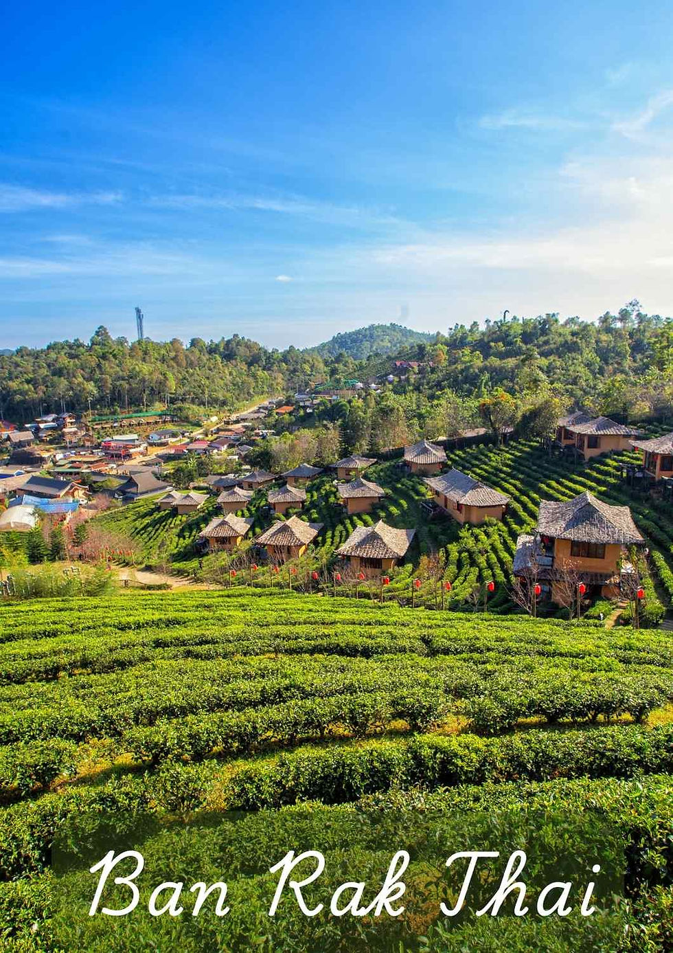 Blick auf das Dorf Ban Rak Thai in Nordthailand mit Teeplantagen in Terrassen und traditionellen Lehmhäusern.