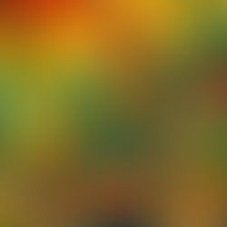 Thailändischer Koch lächelt und kocht ein Wok-Gericht im Freien vor dem Strand von Koh Samui mit Palmen und grünen Hügeln im Hintergrund.