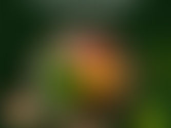 Authentische Rezepte der zentralen thailändischen Küche mit Currys, Suppen und Pfannengerichten.