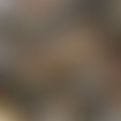 Frische ungekochte Blaue Schwimmkrabben auf dem Markt in Thailand