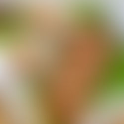 Thailändisches mariniertes Hähnchen nach südlicher Art auf Spießen mit Tomatensoße.