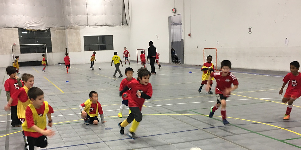 4v4 Winter Clinic: 9-11 year olds (Session I)