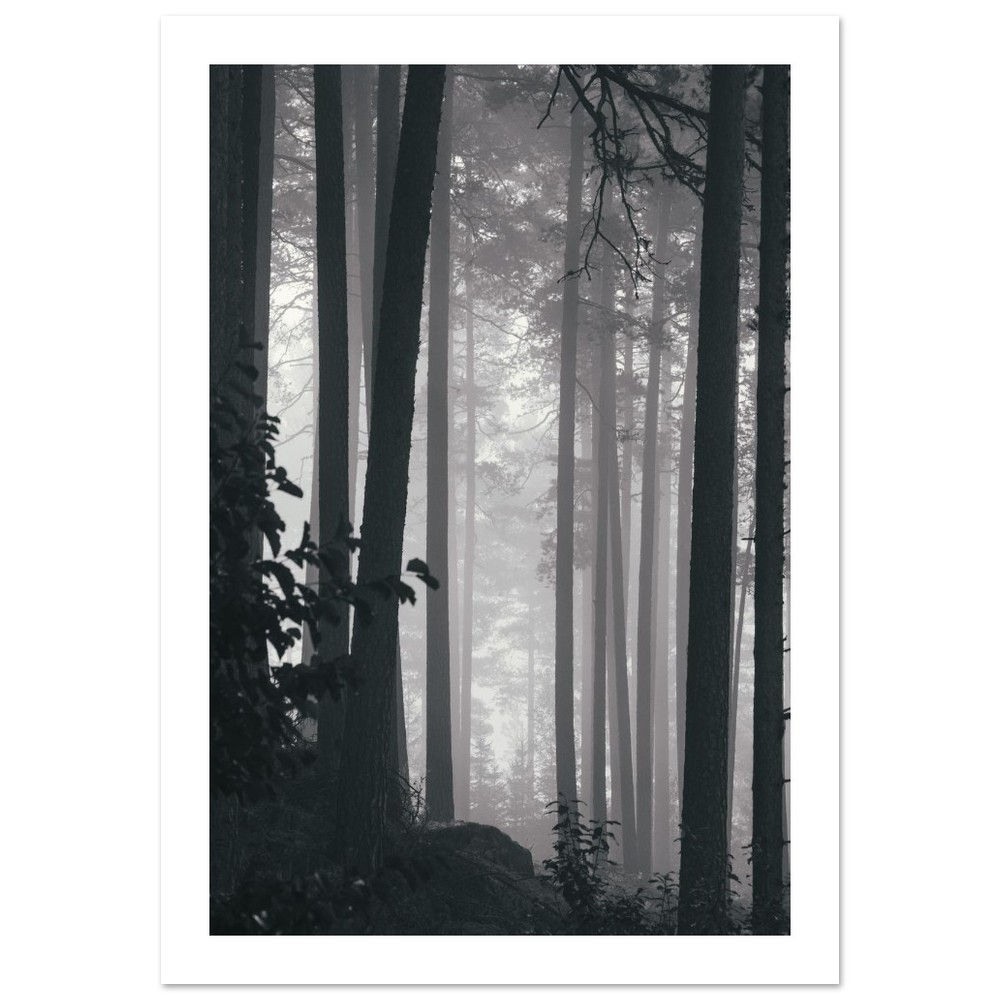 Skogen Premium poster med matt papper 70x100 cm / 28x40″