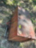 ree