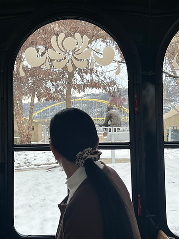 A passenger on a Molly's Trolley tour looks out at a statue of Fred Rogers, preceded by one of Pittsburgh's iconic yellow bridges.