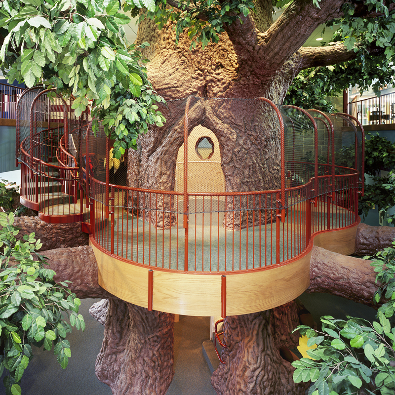 Elizabeth Steward Treehouse Museum tree Exhibit; interactive museum for children