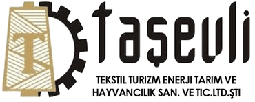 TAŞEVLİ