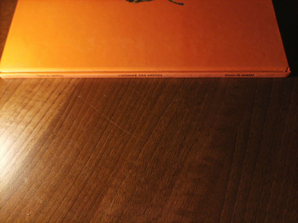 Miniature : L'homme des neiges