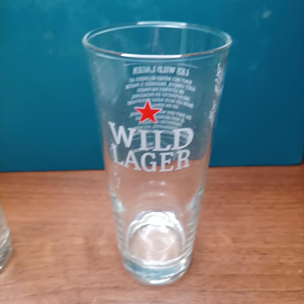 Miniature : 6 Verres à bière Wild Lager