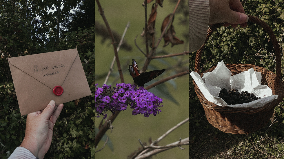 ✷ Récap' de Septembre