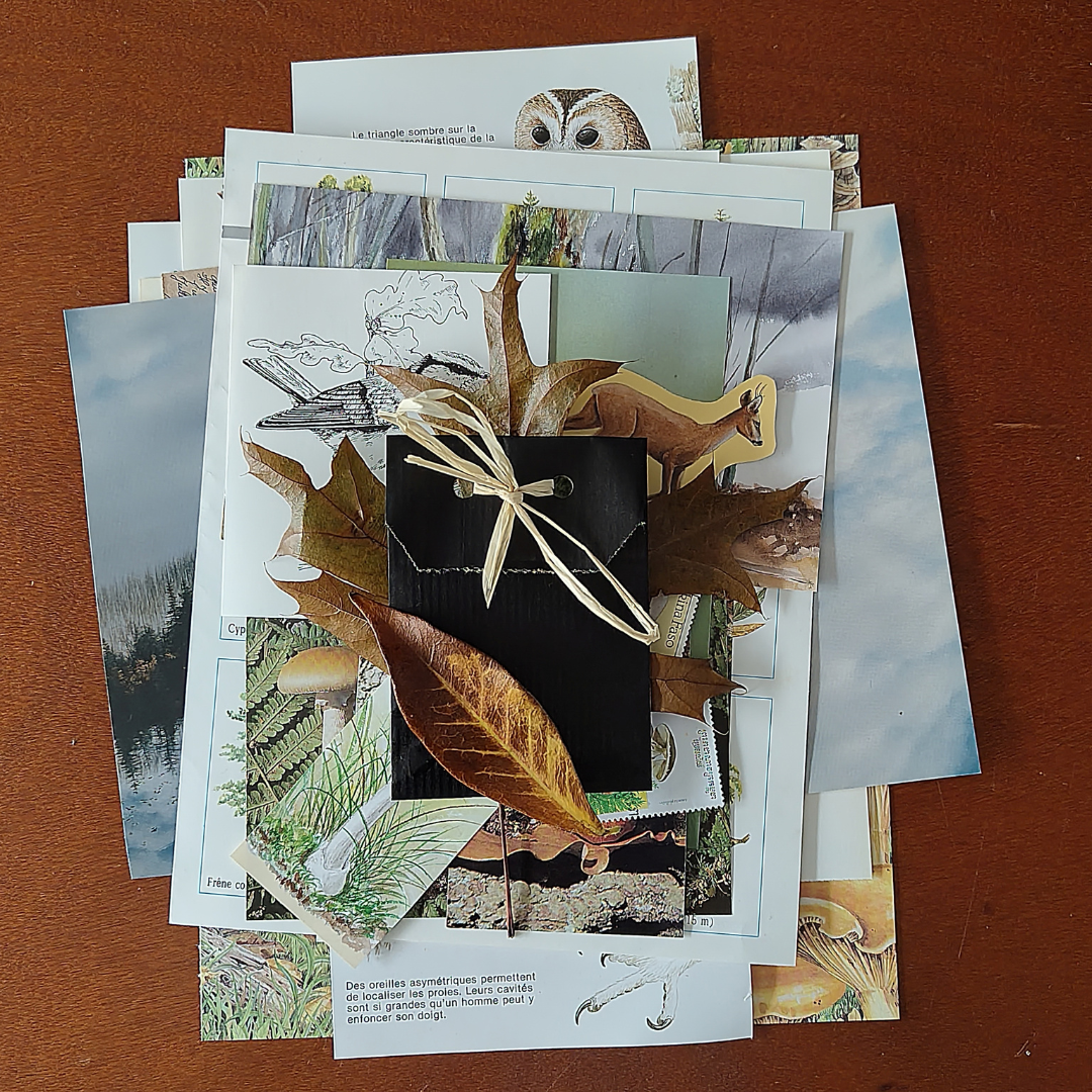 Kit de scrapbooking - 30 pièces - Forêt automne 4