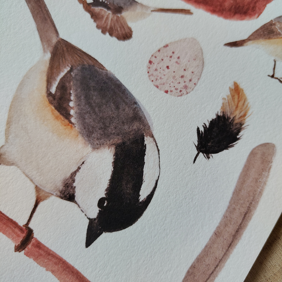Miniature : Mésange noire (défaut de couleur et petite tâche)
