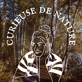 Design sans titre (13).png