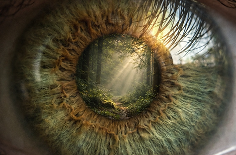 8591EDC6-25CD-4460-B29B-8A0B12D5EC0F.PNG
