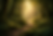 54820D40-914E-4D69-AC11-616C36D83BCC.PNG