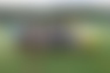 Conclusa la prima parte di stagione della giovanile