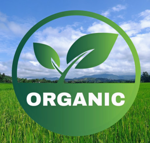 Screenshot 2025-05-22 alle 07.28.04.png