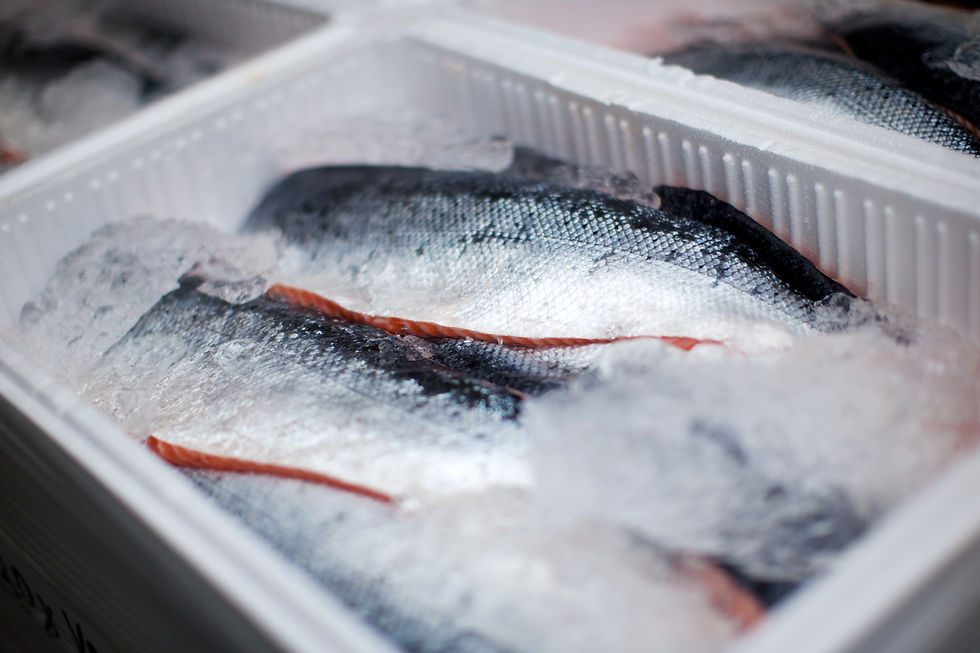whole salmons lying on ice in a transportation box.jpg