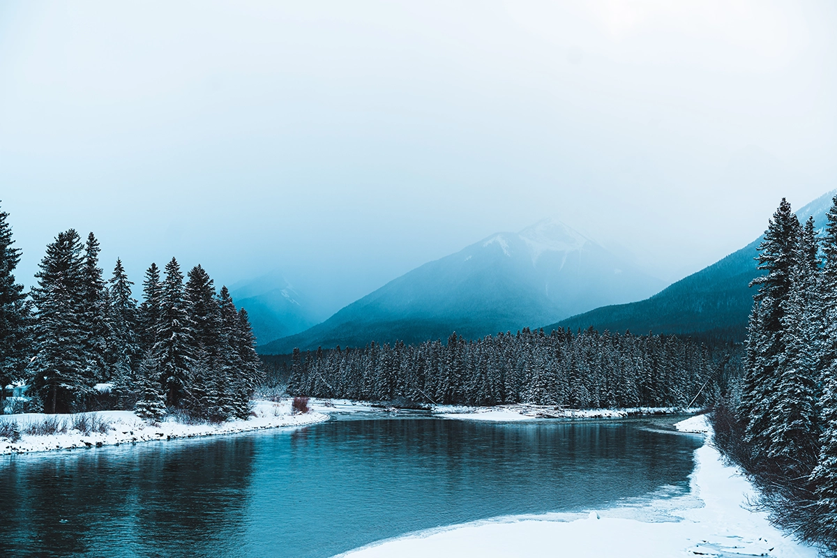 matthew-sichkaruk-h94PzYhtbrw-unsplash.webp