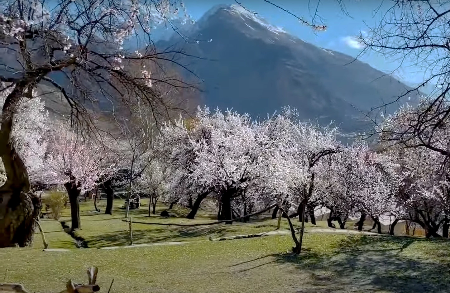 Hunza.webp