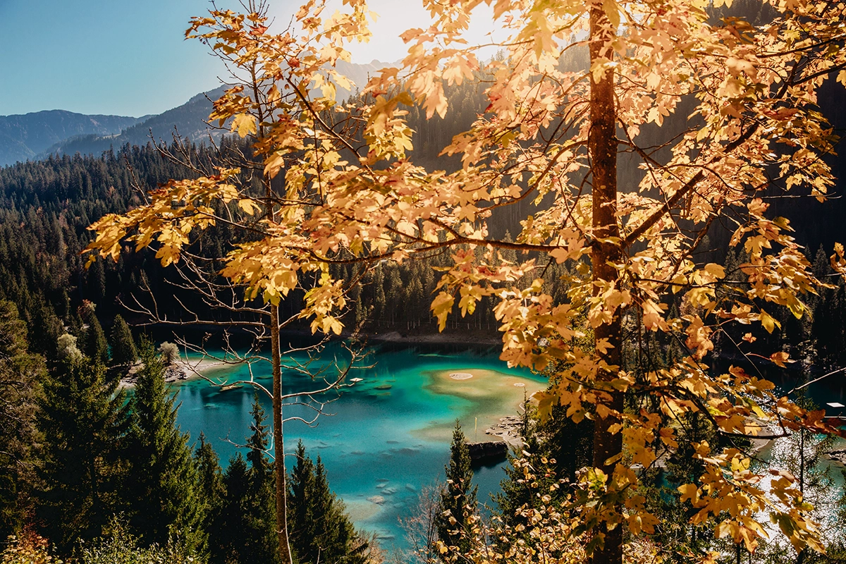 kevin-schmid-sZuKMS4fqMU-unsplash.webp