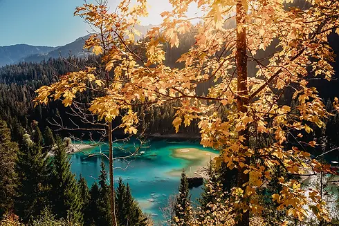kevin-schmid-sZuKMS4fqMU-unsplash.webp
