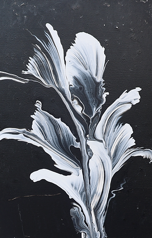 This striking collection of black-and-white botanical abstracts captures the ethereal beauty of nature through a minimalist l