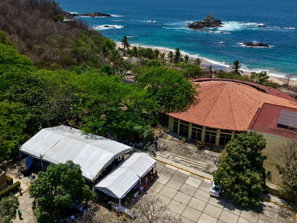 Garantiza Salomón Jara Cruz apoyos para el Centro Mexicano de la Tortuga