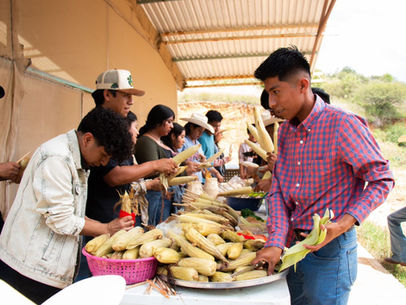 Conmemora UTVCO Día Nacional del Maíz con actividades académicas y de convivencia