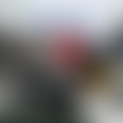 Obtiene FGEO vinculación a proceso y prisión preventiva contra cuatro personas detenidas en cateo por narcomenudeo en la Sierra de Flores Magón