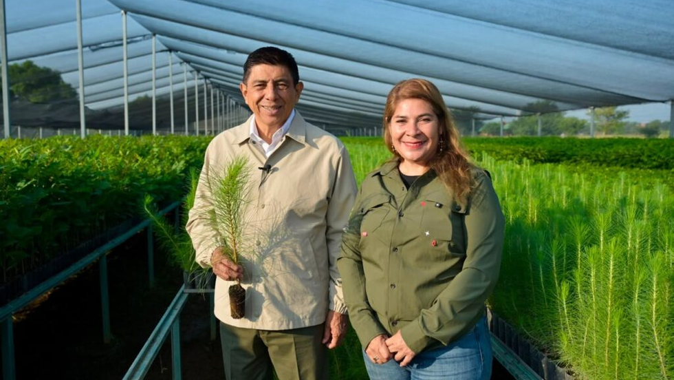 Con compromiso sustentable, Oaxaca hará equipo en la Jornada Nacional de Reforestación 2026