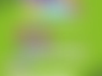 Invita DIF a la edición 43 de la Diverti Ruta en el Parque Primavera