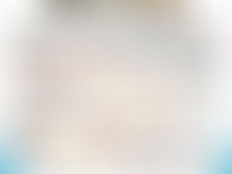 Identifican un acervo de 47 especies de mariposas en el Parque Estatal “Cerro del Fortín”