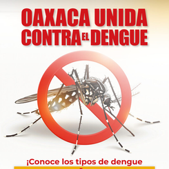 Exhorta SSO a la población a mantener medidas preventivas contra el dengue