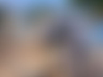 Realiza SSO operativo en panteones de Jurisdicción Sanitaria Tuxtepec para prevenir enfermedades transmitidas por vector