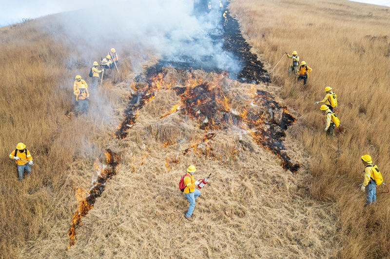 Inicia Coesfo apertura de línea negra para proteger el perímetro de Monte Albán