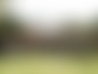 Actualiza SSO a personal de psicología