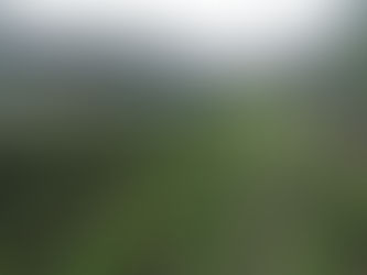 Invita Coesfo a conocer el vivero forestal “El Casquito” en San Gabriel Mixtepec