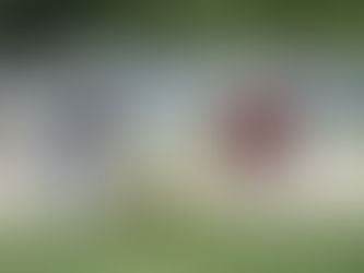 Cierra Oaxaca el año con una reducción del 93.27% en casos de dengue