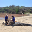 Despliega Protección Civil acciones preventivas por presencia de cocodrilos en la Costa y Cuenca del Papaloapan