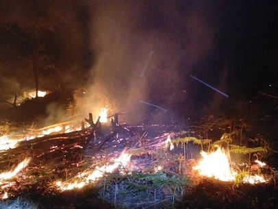 Atiende Coesfo quema agrícola no supervisada en zona forestal de Chimalapas