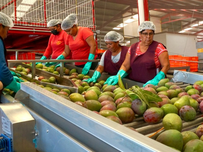 Paz y gobernabilidad en Oaxaca abren puerta al mercado internacional a través de Concamin