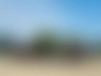 Avanzan en paz asambleas electivas en municipios de Sistemas Normativos Internos: Sego