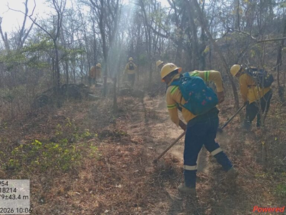Atiende Coesfo incendio forestal en Santo Domingo Tehuantepec