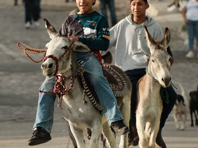 TRADICIONAL CARRERA DE BURROS, TORTILLERAS Y LEÑADORES EN SAN FELIPE DEL AGUA