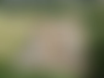 Construye Gobierno de Oaxaca infraestructura para saneamiento de agua en San Francisco Telixtlahuaca