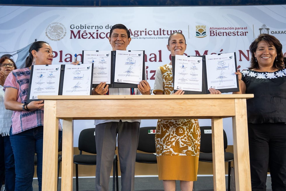 Con entrega de recursos, fortalece Claudia Sheinbaum política de Salomón Jara para protección del maíz nativo en Oaxaca