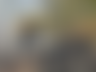 Controla Coesfo incendio de pastizales en Santiago Suchilquitongo