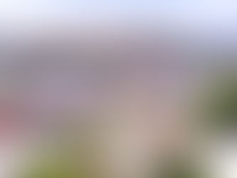 Congreso eleva a rango de ciudad a Santa Cruz Xoxocotlán